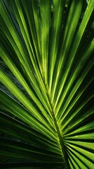 Sun-Kissed Tropical Palm Leaf - Vibrant Green Veins and Dramatic Light-Shadow Play.