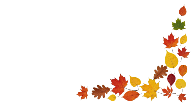 Vibrant Red Yellow Green Brown Autumn Leaves Collection Arrangement with Natural Light and Shadow