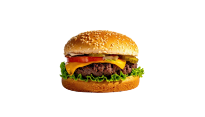 Appetizing burger with lettuce, cheese, tomato, pickle on black
