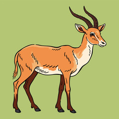 Antelope Illustration, Wildlife Animal Line Art Drawing Vector