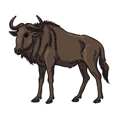 wildebeest Illustration, Wildlife Animal Line Art Drawing Vector