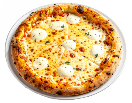 Tasty Italian Style Pizza with Assorted Meats and Cheese