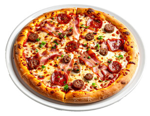 Tasty Italian Style Pizza with Assorted Meats and Cheese