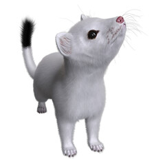Naklejka premium 3D rendered illustration of a white weasel isolated on transparent background