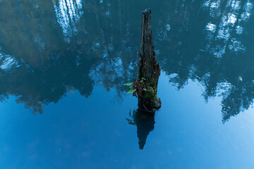 Wilczy staw z drzewami odbijającymi się w spokojnej wodzie wzdłuż górskiego szlaku turystycznego na Chrobaczą łąkę, tworzący pogodny i nastrojowy krajobraz naturalny. © Elżbieta Kaps