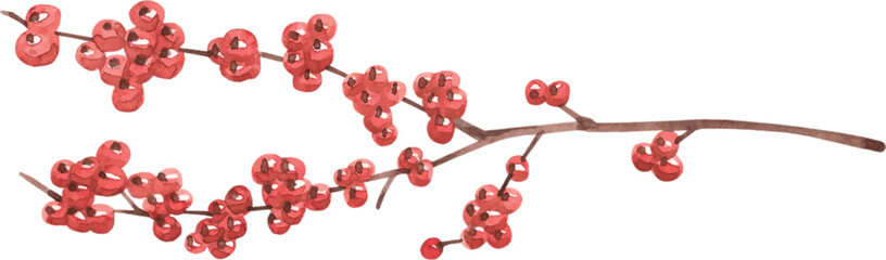 Watercolor Winter Berry Branch Illustration