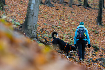Turystka z psem na górskim szlaku w Beskidach © Elżbieta Kaps