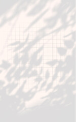 Soft Leaf Shadows on Grid Paper with Natural Light Reels background