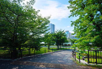 晴れの毛馬桜之宮公園