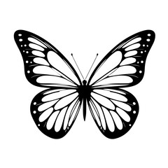 Colorful Butterfly 34 Vector Illustration