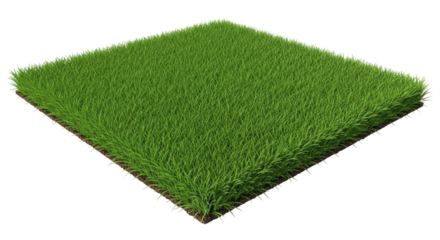 Artificial grass square transparent background cutout png