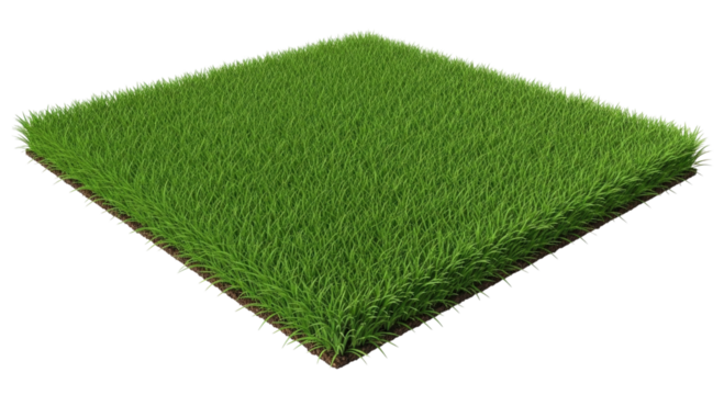 Artificial grass square transparent background cutout png