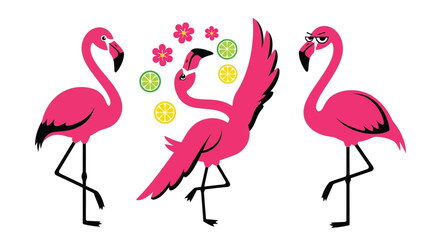 Obraz premium Three charming pink flamingos having fun with fruit and flowers