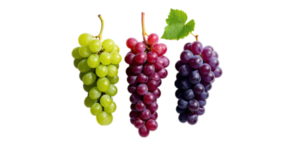 Three grape bunches green, red, and purple on black background