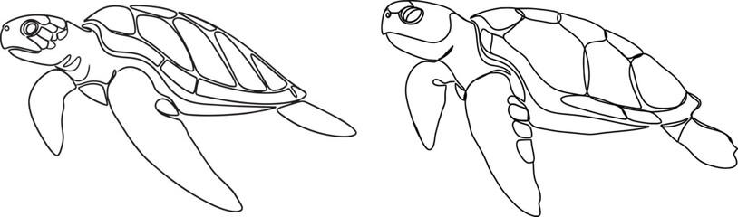 Graceful sea turtle illustrations in clean flowing ocean-themed line art style