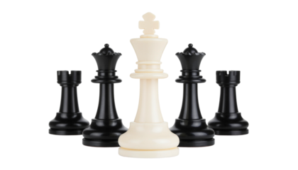 White king chess piece standing out from black chess pieces