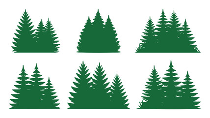 Obraz premium Evergreen tree forest designs