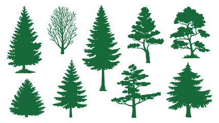 Obraz premium Nature trees diverse silhouette