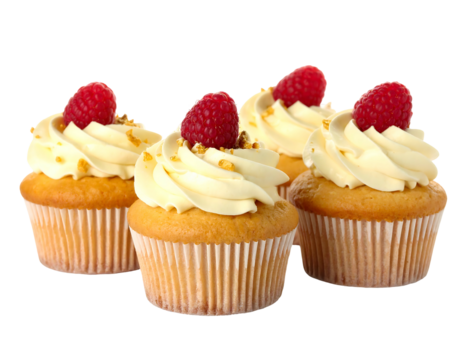 Close-up of four delicious cupcakes. They have swirled frosting, a single raspberry, and some sprinkled nuts on top