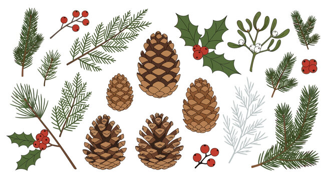 Winter Holiday Botanical Elements Set: Pine Cones, Evergreen Branches, Holly, and Mistletoe Hand-Drawn Illustration - Powered by Adobe