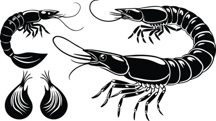 Fototapeta premium Shrimp and Shrimp Silhouette Vector Set – Seafood Illustration Pack