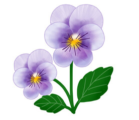 薄紫色のかわいらしいビオラの花