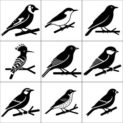Set of nine different birds perched on branches isolated on white background