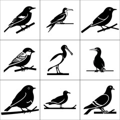 Nine different bird silhouettes in black and white isolated on white background