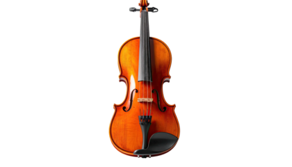 Glossy brown violin centered, neck up, on solid black background