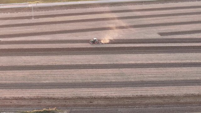 Late-summer agricultural operation in the Po Valley near Piacenza, Italy, where a tractor equipped with a subsoiler or chisel plow is performing deep tillage across a structured field