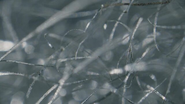 Steel wool fibers under microscope low magnification