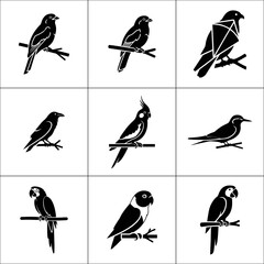 Collection of nine different bird silhouettes isolated on white background