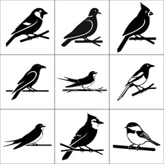 Collection of nine different bird silhouettes isolated on white background