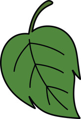Single Green Leaf with Black Outline and Veins on White plant nature