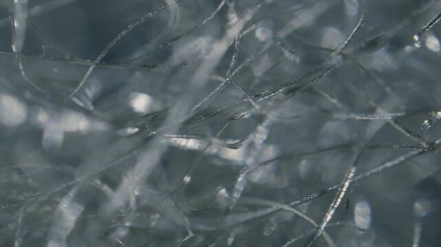 Steel wool fibers under microscope low magnification