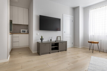 Bright Modern Living Room with TV and Minimalist Kitchen