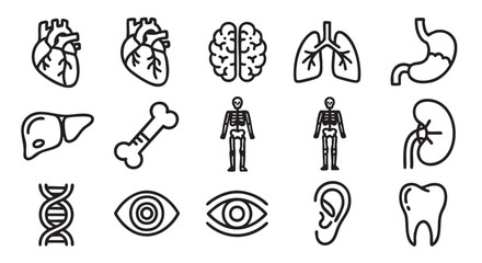 Human body internal organs icons black line seamless pattern on white