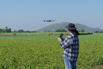 Corn farmers fly drones to check the growth of their crop.