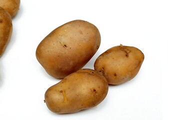 potato isolated on white background