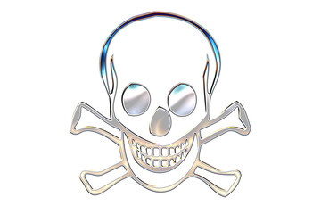 chrome skull and crossbones
