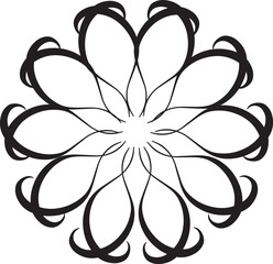 Black and White Concentric Star Geometric Mandala