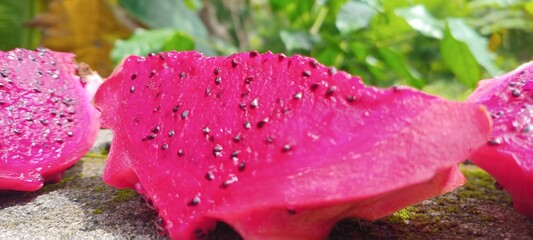 A slice of red dragon fruit looks fresh with bright red flesh speckled with black seeds, blending in with the natural green background of the leaves.