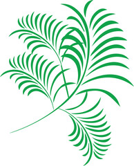 vector illustration of a palm tree