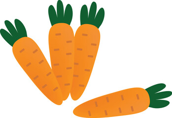 Fresh Carrot Vector Illustration | Healthy Vegetable Icon | Organic Food Design