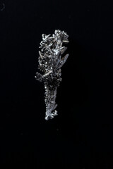 titanium crystal branches