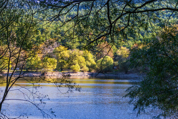Lake surrounded by forest and hills, calm water surface framed by tree branches in foreground.