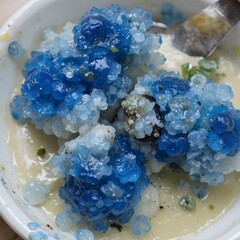 fresh blueberries in a bowl