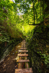Waterfall with ladder in canyon, sucha bela in Slovak Paradise or Slovensky Raj National Park in Slovakia.