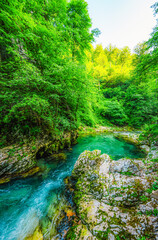Obraz premium Wooden walkway through the Vintgar gorge near Bled lake in Slovenia, breathtaking views of the Radovna river
