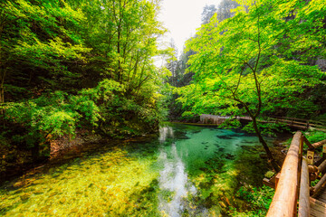 Naklejka premium Wooden walkway through the Vintgar gorge near Bled lake in Slovenia, breathtaking views of the Radovna river
